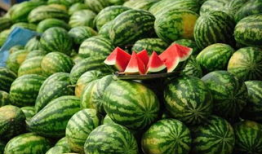 安徽吃瓜爆料事件真相,揭秘背后真相与争议